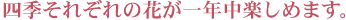 �l�G���ꂼ��̉Ԃ���N���y���߂܂��B