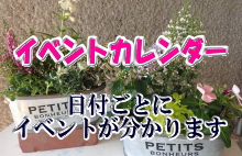 ICON画像