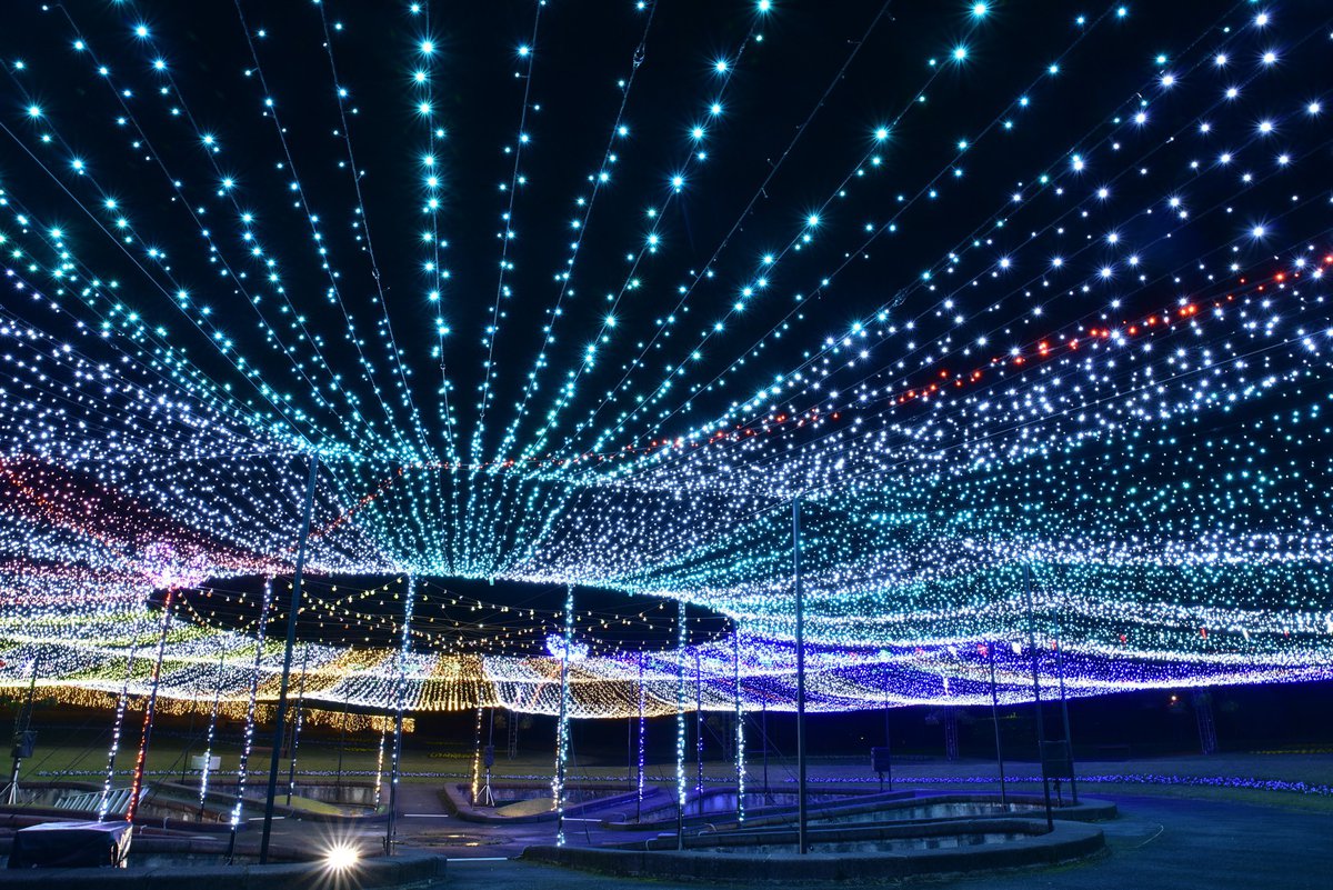 霧の庭園のイルミネーション