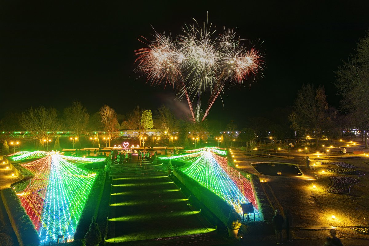 フラワーイルミネーションと冬花火