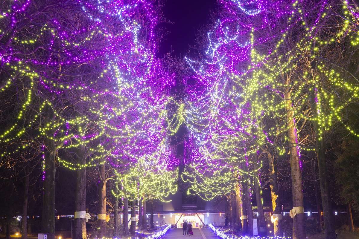 東館通りのイルミネーション