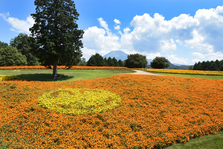 Tottori Prefctural Flower Park