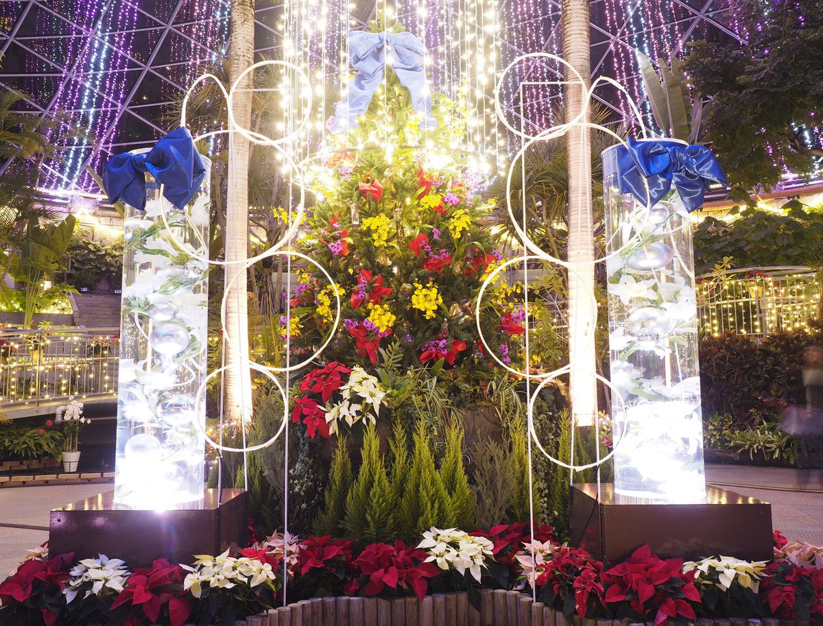 フラワードームのハーバリウムツリー