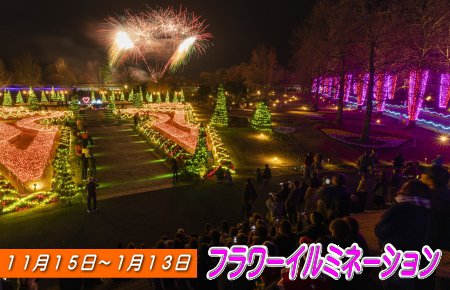 とっとり花回廊　フラワーイルミネーション