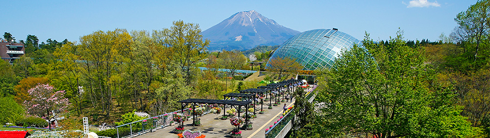 園内風景