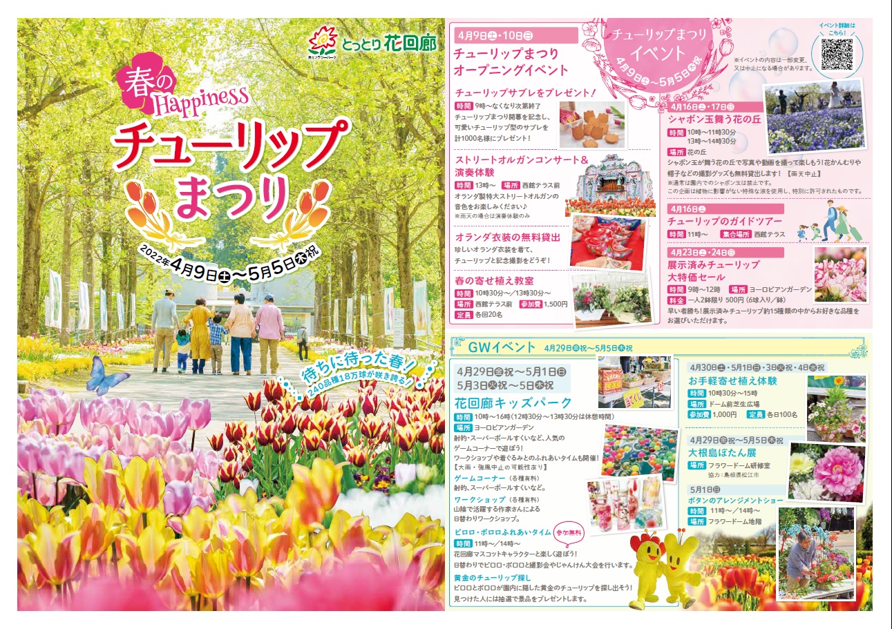チューリップまつり開催 とっとり花回廊
