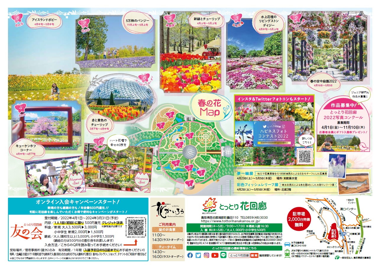 チューリップまつり開催 とっとり花回廊