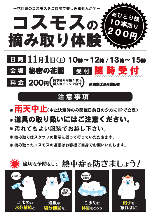 2025コスモス摘み取りHP.png