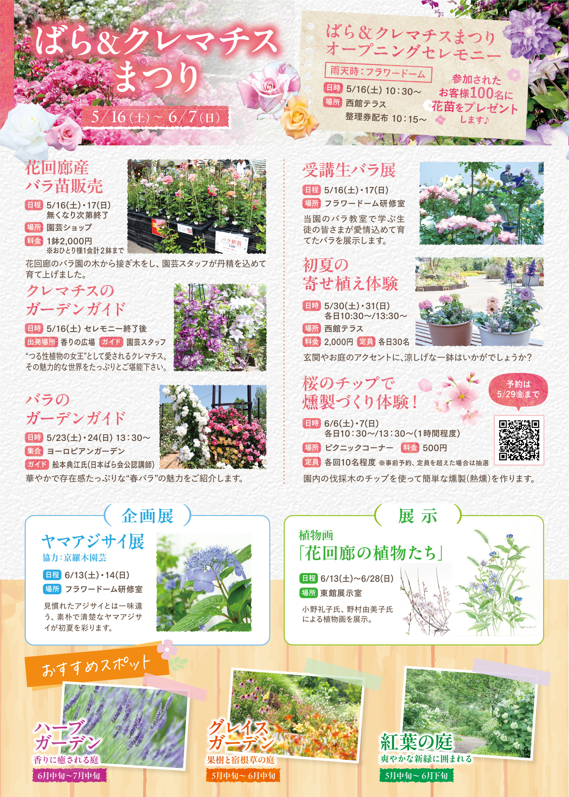 初夏チラシ-バラ・クレマチス.jpg