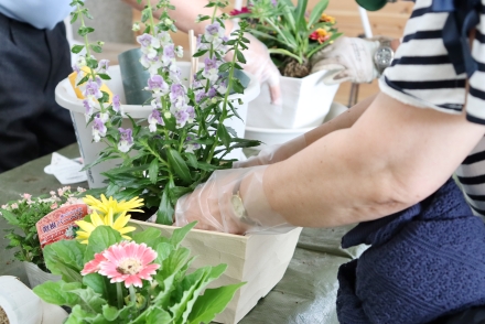 初夏の寄せ植え体験6月19日（11）.JPG