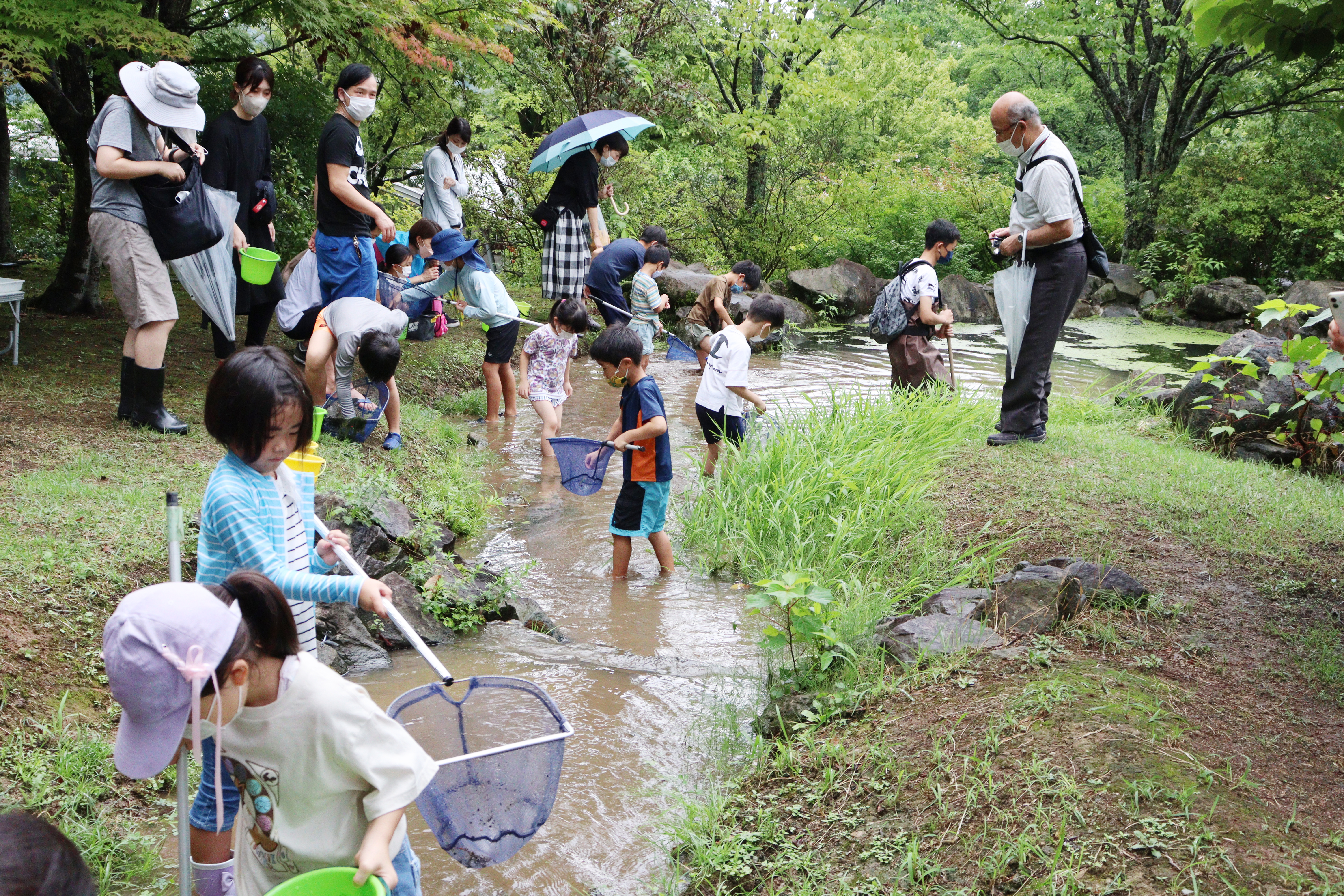 水辺の生き物観察会・花の丘池8月14日(17).JPG