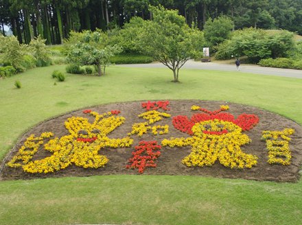 ピロポロ花壇