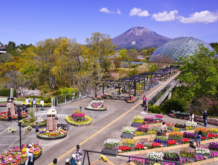 Tottori Flower Gallery（Hanakairo）