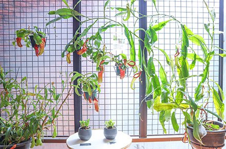 ☆南館６月18日（4）-440.jpg