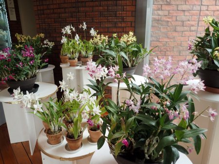 2026.2.16 (南館) (ラン1).JPG