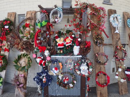 2025.11.11 (1リース).JPG