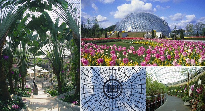 Flower Dome