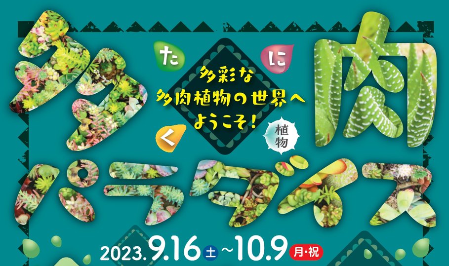 ホームページ用.png