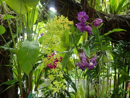 2025.10.15 (南館) (グラマトフィラム29).JPG