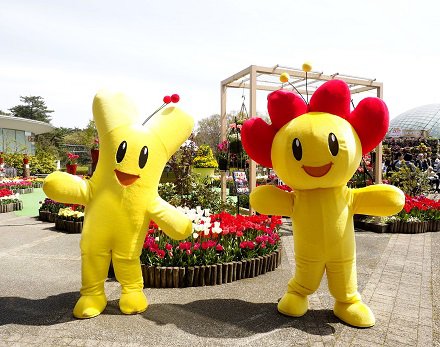GWイベント | とっとり花回廊 GWイベント | とっとり花回廊