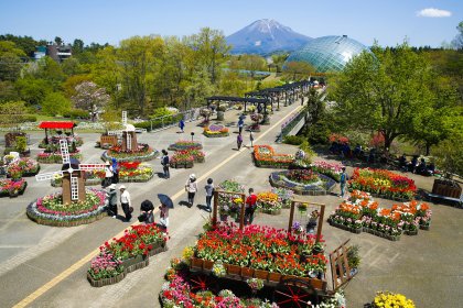 Tottori Prefctural Flower Park