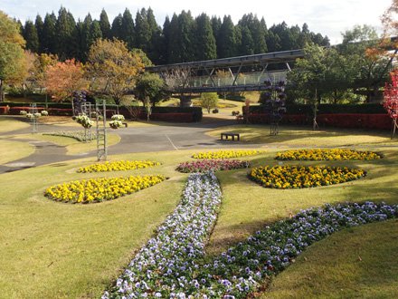 霧の庭園花模様下から.jpg