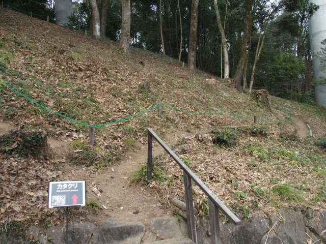 レストラン斜面）カタクリ3-12 (1).JPG