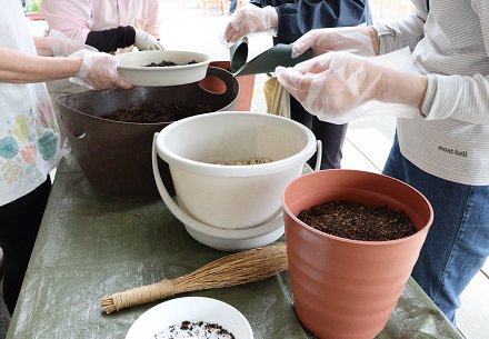 ユリの冷凍球根植え付け体験