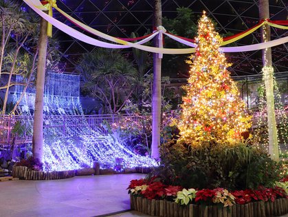 Tottori Prefctural Flower Park