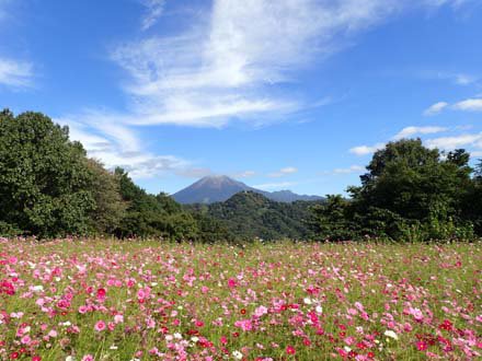 秘密の花園