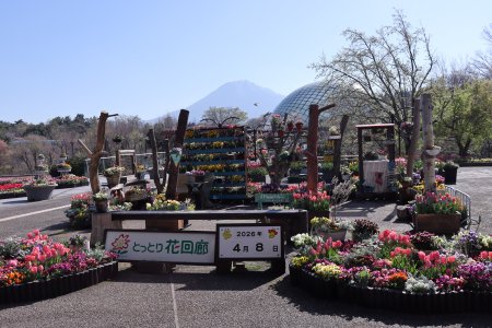 西館テラス4月8日（12）IMG_5372.JPG