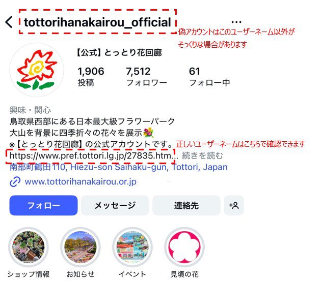 つな ⚠️プロフィール参照お願いします。 インスタのプロフィールが乗っ取られて、自撮りリセットのために
