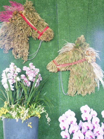 ドーム）入口馬2026.2.5 (2).JPG