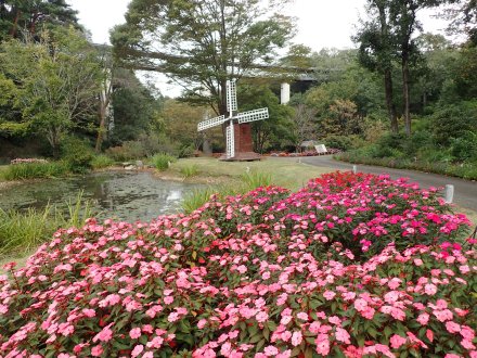 花の谷遠景