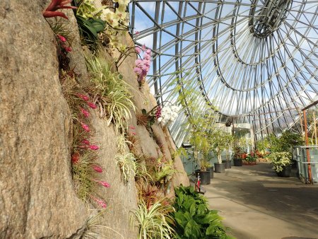 2025.12.9 (チランジア) (52).JPG