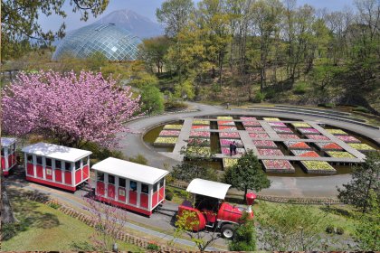 Tottori Prefctural Flower Park