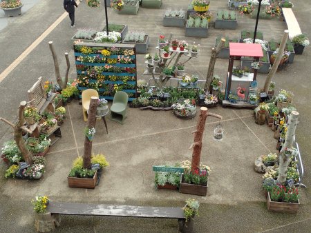 2026.4.29 (フラワーライブラリー1).JPG