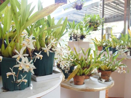 南館）風除室セロジネ2026.3.13   (3).JPG