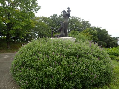 2025.9.13 (ハーブ園・サルビアレウカンサ) (2).JPG