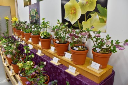 Tottori Prefctural Flower Park