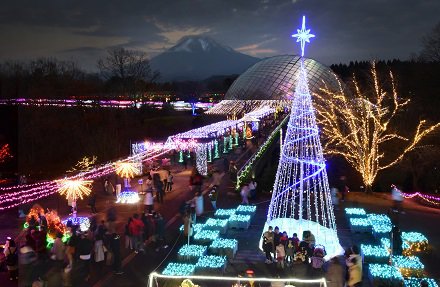 フラワーイルミネーション 12 25更新 とっとり花回廊