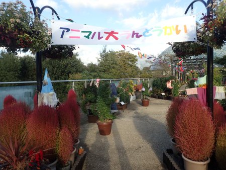 トピアリー展入口2.JPG