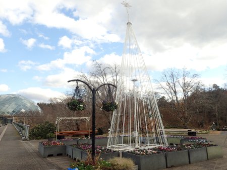 2025.12.9 (西館テラス・アイアンツリー12).JPG