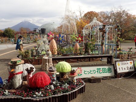 2025.11.24 (西館テラス) (写真スポットポタジェ2).JPG