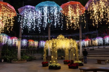 フラワードーム