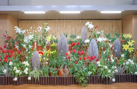 真冬のチューリップ