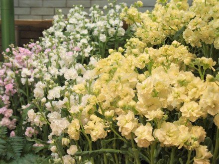 東館）ストック展11-18 (3).JPG