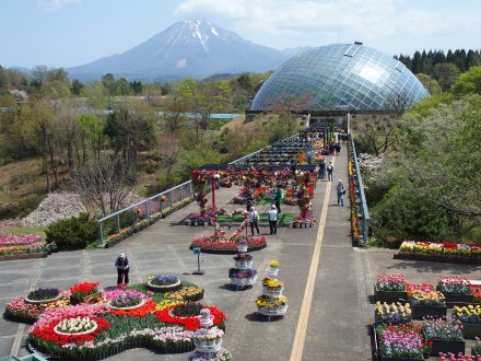 テラス遠景2025-4-18 (加工).jpg