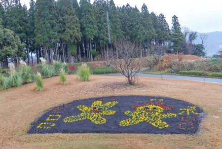 ピロポロ花壇・霧の庭園外周12月24日（12）.JPG