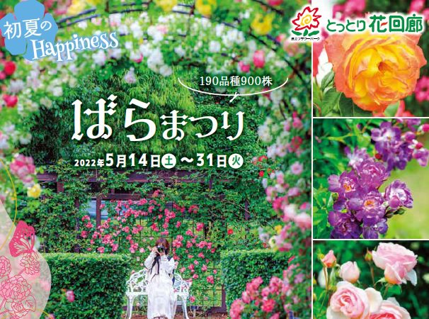 とっとり花回廊 ばらまつり